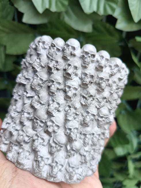 Vela Cráneos Eternos