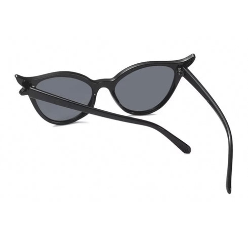 Cat Noir Shades