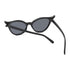 Cat Noir Shades