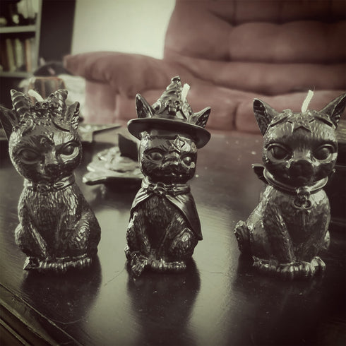 Vela Gato Vampiro 75gr